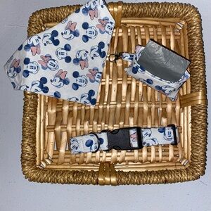 Blue and Pink Dog Collar, bandana and waste bag holder